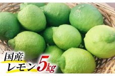 【2025年8月下旬～発送】国産レモン 璃の香（りのか）5kg  / レモン れもん 檸檬 国産 柑橘 / 南島原市 / 長崎県農産品流通合同会社 [SCB079]