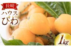 【2026年4月中旬～発送】長崎ハウス びわ 約1kg (250グラム×4パック) / フルーツ びわ ビワ 枇杷 柑橘 / 南島原市 / 長崎県農産品流通合同会社 [SCB089]