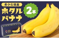 【テレビで話題！】【とても希少な国産バナナをあなたへ！】hotaru バナナ 2本 / ばなな 果物 フルーツ / 南島原市 / hotaru [SFA001]
