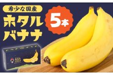 【テレビで話題！】【とても希少な国産バナナをあなたへ！】hotaru バナナ 5本 / ばなな 果物 フルーツ / 南島原市 / hotaru [SFA002]