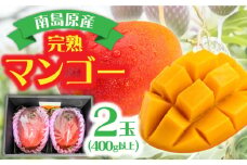 【2025年7月〜発送】南島原産完熟マンゴー２玉 / 南島原市 / ながいけ [SCH064]