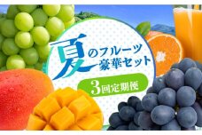 【2025年7月〜発送！】【3回 定期便 】マンゴー ＆ シャインマスカット ＆ ぶどう & せとか 100% ストレートジュース の豪華セット / まんごー ブドウ 葡萄 しゃいんますかっと フルーツ 果物 じゅーす オレンジ みかん / 南島原市 / 松川農園 [SAX007]