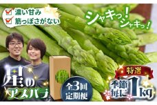 【3回定期便】【星のアスパラ】春・夏・秋 の グリーン アスパラガス 約1kg / アスパラ 野菜 / 南島原市 / ほしのYA [SEY013]