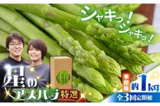 【3回定期便】【星のアスパラ】春・夏・秋 の グリーン アスパラガス 約1kg / アスパラ 野菜 / 南島原市 / ほしのYA [SEY013]