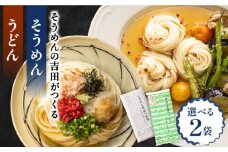 【選べる詰め合わせ】そうめん×2袋[SCL021]