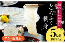 【母の日到着】とらふぐ 刺身 5人前 アラ付き / ふぐ フグ 河豚 トラフグ ふぐ刺し / 南島原市 / 大和庵 [SCJ029]