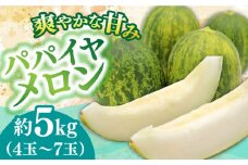 【2025年4月〜発送】【いくらでも食べたくなるさっぱりとした甘さ！】パパイヤメロン 約5kg 4玉～7玉 / パパイヤメロン パパイアメロン めろん / 南島原市 / 贅沢宝庫 [SDZ034]