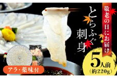 【敬老の日到着】とらふぐ 刺身 5人前 アラ付き / ふぐ フグ 河豚 トラフグ ふぐ刺し / 南島原市 / 大和庵 [SCJ031]