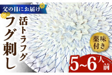【父の日にお届け！】活トラフグ フグ刺し（５〜6人前）  / ふぐ フグ 河豚 トラフグ ふぐ刺し / 南島原市 / ながいけ [SCH066]