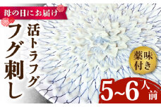 【母の日にお届け！】活トラフグ フグ刺し（５〜6人前）  / ふぐ フグ 河豚 トラフグ ふぐ刺し / 南島原市 / ながいけ [SCH065]