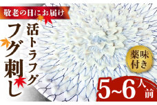 【敬老の日にお届け！】活トラフグ フグ刺し（５〜6人前）  / ふぐ フグ 河豚 トラフグ ふぐ刺し / 南島原市 / ながいけ [SCH067]