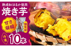 【数量限定】【ねっとり甘い熟成サツマイモ】冷凍焼き芋（紅はるか） 10本(S～M) / さつまいも やき芋 冷凍 小分け 個包装 冷やし焼き芋 / 南島原市 / 池田海陸物産 [SEW002]
