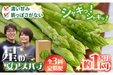 【3回定期便】【星のアスパラ】夏のグリーンアスパラガス 約1kg / アスパラ 野菜 / 南島原市 / ほしのYA [SEY014]