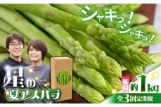 【3回定期便】【星のアスパラ】夏のグリーンアスパラガス 約1kg / アスパラ 野菜 / 南島原市 / ほしのYA [SEY014]