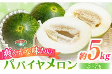 【2025年4月中旬〜発送】パパイヤメロン 約5kg（約5～7玉）/ メロン めろん パパイヤメロン 果物 フルーツ / 南島原市 / 長崎県農産品流通合同会社 [SCB086]