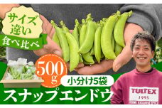 【2025年1月〜発送】スナップエンドウ　サイズ違い　食べ比べセット　100g × 5袋 / 小分け / 南島原市 [SFL001]