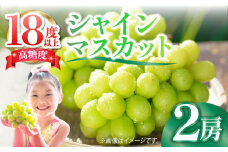 【2025年9月中旬〜発送】【数量限定】＜口の中であふれる果汁＞大粒 シャインマスカット 2房 1.4kg以上 / 南島原市 / 川田果樹園 [SFN001] シャインマスカット 先行予約 ブドウ ぶどう しゃいんますかっと フルーツ 果物