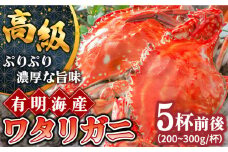 【2025年7月〜発送】【数量限定】有明海のワタリガニ 200g〜300g×5匹前後 / かに カニ 蟹 kani ボイル カニ爪 ワタリガニ わたりがに 渡り蟹 カニしゃぶ  ほぐし身 かにみそ 冷凍 / 南島原市 / 長栄丸水産 [SFM001]