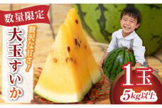 【数量限定】【幻のスイカ！金色羅皇】大玉スイカ 羅皇 1玉 5kg以上 / すいか フルーツ 果物 ラオウ 黄金 / 南島原市 / ふるさと企画 [SBA071]