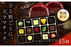 【バレンタイン着日指定】ボンボンショコラ 15個入り / チョコ チョコレート ちょこれーと お土産 お菓子 バレンタイン / 南島原市 / 本田屋かすてら本舗 [SAW033]