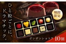 《通常寄附》【2026年2月〜発送】ボンボンショコラ 10個入り / チョコ チョコレート ちょこれーと お土産 お菓子 バレンタイン / 南島原市 / 本田屋かすてら本舗 [SAW032]