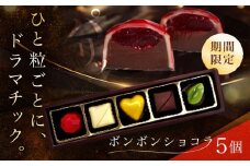 《通常寄附》【2026年2月～発送】ボンボンショコラ 5個入り / チョコ チョコレート ちょこれーと お土産 お菓子 バレンタイン / 南島原市 / 本田屋かすてら本舗 [SAW031]
