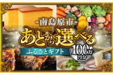 【あとから選べる】南島原市 ふるさとギフト 100万円分 / 寄付 あとから寄附 あとからギフト あとからセレクト あとからチョイス あとから選べる 長崎県 駆け込み寄附 後から選べる 後から選べるギフト 後からセレクト 先に寄付 100万円 1000000円 [SZX001] 