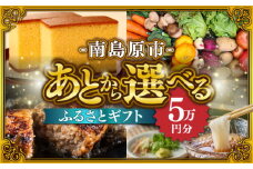 【あとから選べる】南島原市 ふるさとギフト 5万円分 / 寄付 あとから寄附 あとからギフト あとからセレクト あとからチョイス あとから選べる 長崎県 駆け込み寄附 後から選べる 後から選べるギフト 後からセレクト 先に寄付 5万円 50000円 [SZX002]