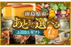 【あとから選べる】南島原市 ふるさとギフト 7万円分 / 寄付 あとから寄附 あとからギフト あとからセレクト あとからチョイス あとから選べる 長崎県 駆け込み寄附 後から選べる 後から選べるギフト 後からセレクト 先に寄付 7万円 70000円 [SZX004]