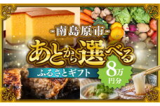 【あとから選べる】南島原市 ふるさとギフト 8万円分 / 寄付 あとから寄附 あとからギフト あとからセレクト あとからチョイス あとから選べる 長崎県 駆け込み寄附 後から選べる 後から選べるギフト 後からセレクト 先に寄付 8万円 80000円 [SZX005]