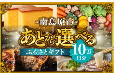 【あとから選べる】南島原市 ふるさとギフト 10万円分 / 寄付 あとから寄附 あとからギフト あとからセレクト あとからチョイス あとから選べる 長崎県 駆け込み寄附 後から選べる 後から選べるギフト 後からセレクト 先に寄付 10万円 100000円 [SZX007]