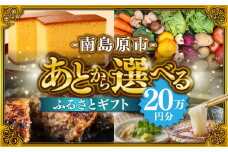 【あとから選べる】南島原市 ふるさとギフト 20万円分 / 寄付 あとから寄附 あとからギフト あとからセレクト あとからチョイス あとから選べる 長崎県 駆け込み寄附 後から選べる 後から選べるギフト 後からセレクト 先に寄付 20万円 200000円 [SZX008]