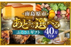 【あとから選べる】南島原市 ふるさとギフト 40万円分 / 寄付 あとから寄附 あとからギフト あとからセレクト あとからチョイス あとから選べる 長崎県 駆け込み寄附 後から選べる 後から選べるギフト 後からセレクト 先に寄付 40万円 400000円 [SZX010]