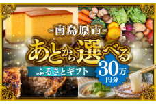 【あとから選べる】南島原市 ふるさとギフト 30万円分 / 寄付 あとから寄附 あとからギフト あとからセレクト あとからチョイス あとから選べる 長崎県 駆け込み寄附 後から選べる 後から選べるギフト 後からセレクト 先に寄付 30万円 300000円 [SZX009]