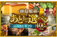 【あとから選べる】南島原市 ふるさとギフト 400万円分 / 寄付 あとから寄附 あとからギフト あとからセレクト あとからチョイス あとから選べる 長崎県 駆け込み寄附 後から選べる 後から選べるギフト 後からセレクト 先に寄付 400万円 4000000円 [SZX015]