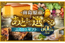 【あとから選べる】南島原市 ふるさとギフト 500万円分 / 寄付 あとから寄附 あとからギフト あとからセレクト あとからチョイス あとから選べる 長崎県 駆け込み寄附 後から選べる 後から選べるギフト 後からセレクト 先に寄付 500万円 5000000円 [SZX016]