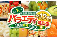 【12回定期便】長崎・南島原グルメ バラエティ定期便 / バラエティ セット 野菜定期便 フルーツ定期便 フルーツ 果物 野菜 やさい そうめん 角煮 皿うどん ちゃんぽん / 南島原市 / 贅沢宝庫 [SDZ038]