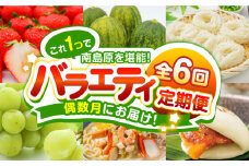 【偶数月 6回定期便】長崎・南島原グルメ バラエティ定期便 / バラエティ セット 野菜定期便 フルーツ定期便 フルーツ 果物 野菜 やさい そうめん 角煮 皿うどん ちゃんぽん / 南島原市 / 贅沢宝庫 [SDZ039]