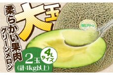 深江グリーンメロン2玉（4kg以上）  / メロン めろん 舐瓜 フルーツ 果物 / 南島原市 / 贅沢宝庫 [SDZ037]