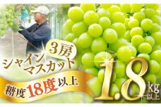 【2025年8月中旬〜発送】【数量限定】【糖度18度以上】シャインマスカット 3房 1.8kg以上 / ぶどう ブドウ 葡萄 マスカット しゃいんますかっと マスカット フルーツ 果物 マスカット ますかっと / 南島原市 / ミナサポ [SCW072]