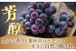 ぶどう ブドウ 葡萄 巨峰 果物 フルーツ ふるーつ 旬 夏