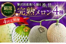 【4回定期便】＜メロン食べ比べ＞平成新山メロンPREMIUM（とみちゃん厳選）パパイヤ しらかば グリーン アールス / メロン めろん 果物 フルーツ 青肉 / 南島原市 / うえだメロン園 [SAD012]