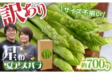 【2025年7月～発送】【訳あり】【星のアスパラ】グリーンアスパラガス 約700g 【サイズ不揃い 2L〜M】 / 訳アリ 規格外 産地直送 アスパラ あすぱら あすぱらがす 採れたて 新鮮 旬 産地直送 / 南島原市 / ほしのYA [SEY015]