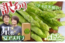 【2025年7月～発送】【訳あり】【星のアスパラ】グリーンアスパラガス 約1.2kg 【L・M・S】 / 訳アリ 規格外 産地直送 アスパラ あすぱら あすぱらがす 採れたて 新鮮 旬 産地直送 / 南島原市 / ほしのYA [SEY015]