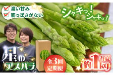 【3回定期便】【星のアスパラ】春・夏 の グリーン アスパラガス 約1kg / アスパラ 野菜 / 南島原市 / ほしのYA [SEY016]