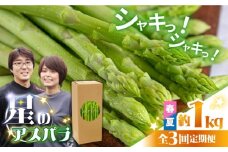【3回定期便】【星のアスパラ】春・夏 の グリーン アスパラガス 約1kg / アスパラ 野菜 / 南島原市 / ほしのYA [SEY016]