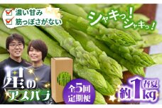 【5回定期便】【星のアスパラ】春＆夏 の グリーン アスパラガス 約1kg / アスパラ 春野菜 野菜 / 南島原市 / ほしのYA [SEY017]