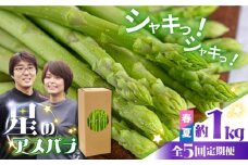 【5回定期便】【星のアスパラ】春＆夏 の グリーン アスパラガス 約1kg / アスパラ 春野菜 野菜 / 南島原市 / ほしのYA [SEY017]