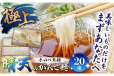 極上手のべ素麺「晴天のがんこ麺」50g×20束入 1kg / そうめん 島原そうめん 手延べ 麺 素麺 / 南島原市 / 入江商店素麺本舗 [SFX001]