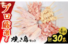 【旨味凝縮！】九州産 鶏三昧 焼き鳥セット 4種類 30本 / やきとり ヤキトリ 焼鳥 串セット 国産 冷凍 小分け / 南島原市 / ふるさと企画 [SBA076]